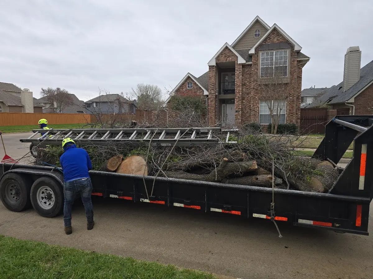 Expert Lot Clearing with proper safety equipment in Brockwell